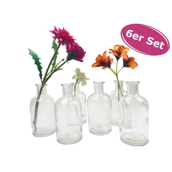 Kleine Vase Meghan, Kleine Glasvase, 6er Set  - Glasflasche, Tischdekoration, Glasvasen, Landhaus