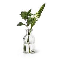 2er Set Glasflaschen "Norinne" Größe S - kleine Vase, Tischdekoration, Glasvasen, Landhaus