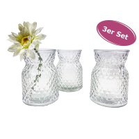 Glasvase Posh, kleine Vase, H: 10,5 cm (3er Set) - kleine...