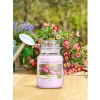 Yankee Candle Duftkerze im Glas (gross) PINK LADY SLIPPER...