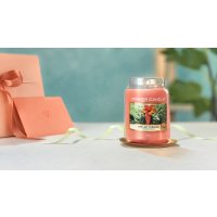 Yankee Candle Duftkerze im Glas (groß) THE LAST PARADISE - The Last Paradise Collection