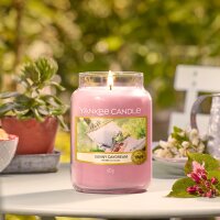 Yankee Candle Duftkerze im Glas (groß) SUNNY DAYDREAMS - Kerze mit Brenndauer bis zu 150 Stunden