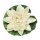 Seerose für Schwimmschale creme D:16cm, als Teich Deko, Deko für Vogeltränke etc. - Schwimmblüte, Schwimmkerzen