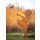Große Deko Figur Feenfängerin mit Fee auf Platte H:100 cm im Rost Design - Rostfigur für den Garten, Gartendeko, Metalldeko