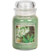 Village Candle Duftkerze im Glas (groß) Eucalyptus Mint -...