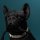 Tischleuchte Bulldogge Francis, schwarz - Tischlampe, Moderner Deko Stil, Tierleuchte, Hund
