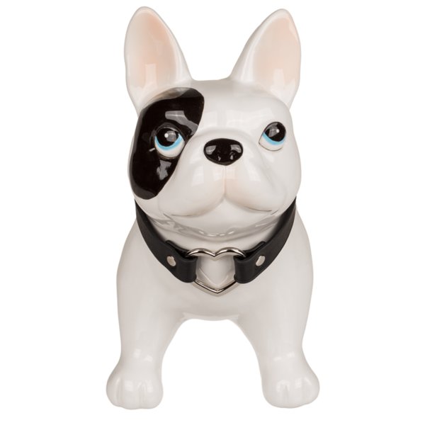 Spardose Sparbüchse Hund mit Brille Sparschwein mit Schloß Spartopf Sparhund NEU 