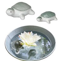 Schildkröte aus Porzellan (2er Set) schwimmend als Teich...