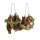 Baumschmuck Furry Forest Waldtiere Fuchs und Eule (4er Set) - Baumhänger, Christbaumschmuck, Weihnachtsbaumkugel
