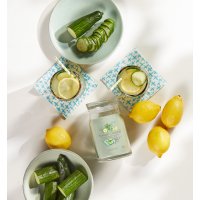 Yankee Candle Duftkerze im Glas (groß) CUCUMBER MINT COOLER - Kerze mit Brenndauer bis zu 90 Stunden