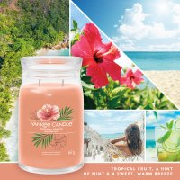 Yankee Candle Duftkerze im Glas (groß) TROPICAL BREEZE - Kerze mit Brenndauer bis zu 90 Stunden