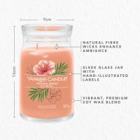 Yankee Candle Duftkerze im Glas (groß) TROPICAL BREEZE - Kerze mit Brenndauer bis zu 90 Stunden