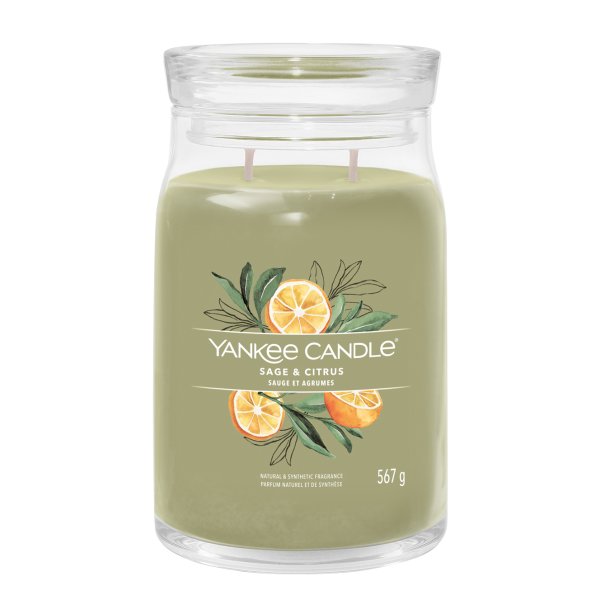 Yankee Candle Duftkerze im Glas (groß) SAGE & CITRUS - Kerze mit Brenndauer bis zu 90 Stunden