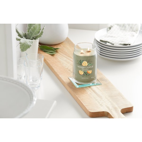 Yankee Candle Duftkerze im Glas (gro) SAGE & CITRUS - Kerze mit Brenndauer bis zu 90 Stunden