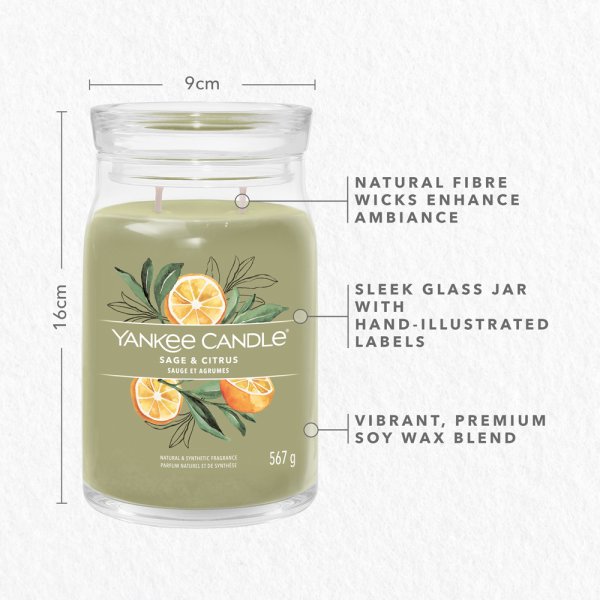 Yankee Candle Duftkerze im Glas (groß) SAGE & CITRUS, 32,90 €