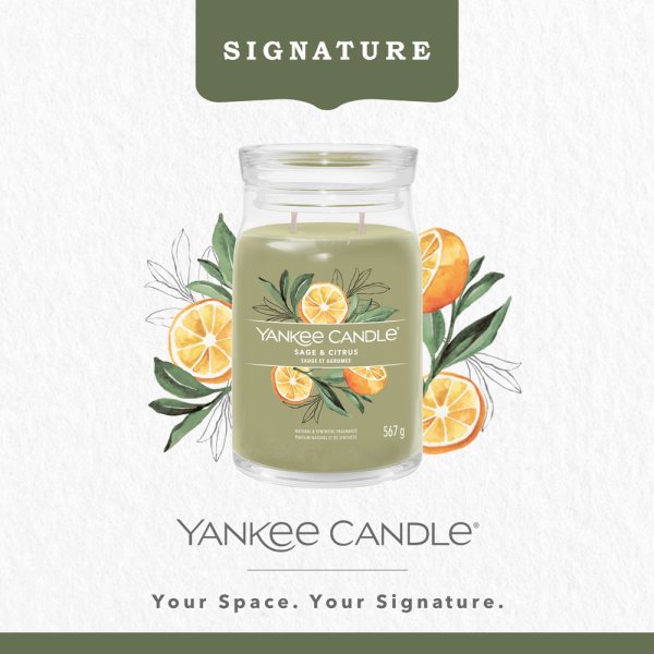 Yankee Candle Duftkerze im Glas (groß) SAGE & CITRUS - Kerze mit Brenndauer bis zu 90 Stunden