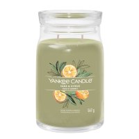 Yankee Candle Duftkerze im Glas (groß) SAGE & CITRUS - Kerze mit Brenndauer bis zu 90 Stunden