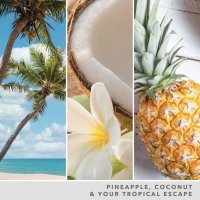 Yankee Candle Duftkerze im Glas (groß) COCONUT BEACH - Kerze mit Brenndauer bis zu 90 Stunden