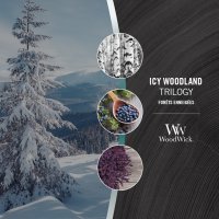 Woodwick Candle Trilogy Ellipse Duftkerze im Glas ICY WOODLAND - Kerze in Ellipsenform mit Holzdocht