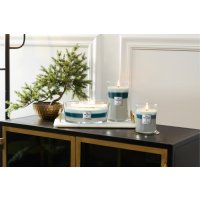 Woodwick Candle Trilogy Ellipse Duftkerze im Glas ICY WOODLAND - Kerze in Ellipsenform mit Holzdocht