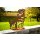Rostfigur Hund Jack Russell "Rocco" auf Standplatte - Dekofigur im Rost Design, Gartendeko, Metalldeko