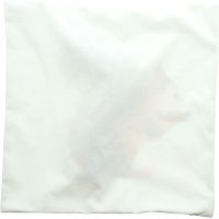 Kissenhülle Eichhörnchen mit buschigem Schwanz 45x45 cm - Kissenbezug, Kissen Frühling, Frühjahr Deko
