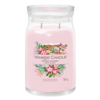 Yankee Candle Duftkerze im Glas (groß) DESERT BLOOMS - Kerze mit Brenndauer bis zu 90 Stunden