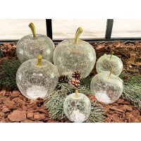 Dekoleuchte Apfel (S) Glas, Transparent, Apfel Lampe mit...