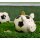 KCG Sparschwein Fussballschwein aus Keramik - Spardose Fussball, Sparbüchse Fußball Fan, Geldbüchse Europameisterschaft