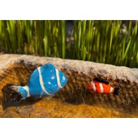 Teichdeko Korallenfische (2er Set) Keramik Fische schwimmend für Schwimmschale, als Teichdeko, Dekofische für Vogeltränke etc. - Fische, Schwimmtiere