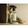 Textilspray DARK AMBER blessing  Olphactory Textilspray in Sprühflasche, Home Spray Laundry Edition, Bügelduft