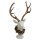 Hirschbüste mit großem Geweih und Lorbeerkranz - Dekofigur Hirsch, Weihnachtsdeko, Winterdeko, Schaufenster Deko