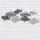 Maritimes Wandbild Fische Fischschwarm 47x23 cm aus Metall  - maritime Wanddeko, Metalldeko, maritim dekorieren, Wandornament
