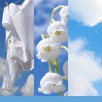 Auto Duft, Lufterfrischer CLEAN COTTON (3er Set) - Yankee Candle Car Jar Paper Bonus, Raumduft, Autoduft