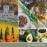 Yankee Candle Duftkerze im Glas (groß) OLIVE & CYPRESS - Signature Kerze aus "Hello Italy" Kollektion mit Brenndauer bis zu 90 Stunden
