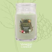 Yankee Candle Duftkerze im Glas (groß) ENCHANTED ORCHARD - Signature Kerze "Herbstkollektion 2025" mit Brenndauer bis zu 90 Stunden
