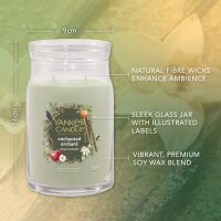 Yankee Candle Duftkerze im Glas (groß) ENCHANTED ORCHARD - Signature Kerze "Herbstkollektion 2025" mit Brenndauer bis zu 90 Stunden
