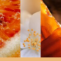Yankee Candle Duftkerze im Glas (groß) GLISTENING LEAVES - Signature Kerze "Herbstkollektion 2025" mit Brenndauer bis zu 90 Stunden