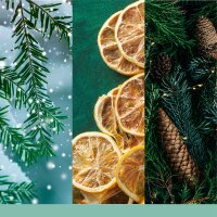 Yankee Candle Duftkerze im Glas (groß) HOLIDAY WINTERFEST - Signature Kerze "Winterkollektion 2025 - Apres Ski" mit Brenndauer bis zu 90 Stunden