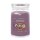 Yankee Candle Duftkerze im Glas (groß) MYSTICAL TAROT CARD - Signature Kerze "Halloween Kollektion 2025" mit Brenndauer bis zu 90 Stunden