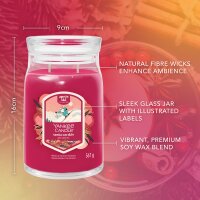 Yankee Candle Duftkerze im Glas (groß) SANTA ON SKIS - Signature Kerze "Winterkollektion 2025 - Apres Ski" mit Brenndauer bis zu 90 Stunden