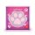 Legami Erweiterbare Schreibtischbox "Cutie Cube" KATZE Kitty - Ideal für Ordnung am Schreibtisch, Aufbewahrungsbox stapelbar, erweiterbar mit anderen Cutie Cubes, Organisation, Würfel