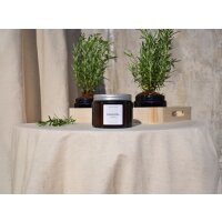Duftkerze Herborium ROSMARINO im Glas 360 g  - Olphactory...