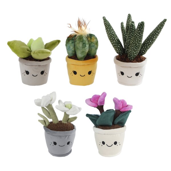 Pflanzen Sukkulenten, Alpenveilchen (Cyclamen) & Frühlingsrosen 19x27 cm aus Plüsch -  Dekokissen, Plüschpflanze, Kuschelkissen, Plüschkissen, Dekoration Wohnzimmer, Garten