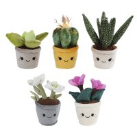 Pflanzen Sukkulenten, Alpenveilchen (Cyclamen) &...