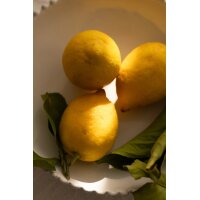 Refill Nachfüllflasche Diffuser My Senso N°83 Limone 240 ml  - I grandi Classici - Raumduft, Lufterfrischer, Duftstäbchen, Raum Duft, Verdunster