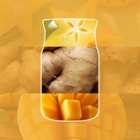 Auto Duft, Lufterfrischer STARFRUIT & SUNSHINE - Yankee Candle Car Jar Paper, Raumduft, Autoduft