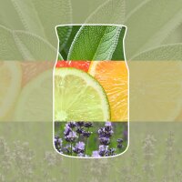 Auto Duft, Lufterfrischer SAGE & CITRUS - Yankee Candle Car Jar Paper, Raumduft, Autoduft