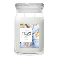 Yankee Candle Duftkerze im Glas (groß) SILVER BIRCH...