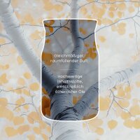 Yankee Candle Duftkerze im Glas (groß) SILVER BIRCH - Herbstkollektion - Signature Kerze mit Brenndauer bis zu 80 Stunden
